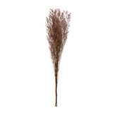 Dried Natural Love Grass Bunch, Lavender